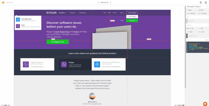 Zeplin at work: building the Raygun.com website - part of a front-end development process